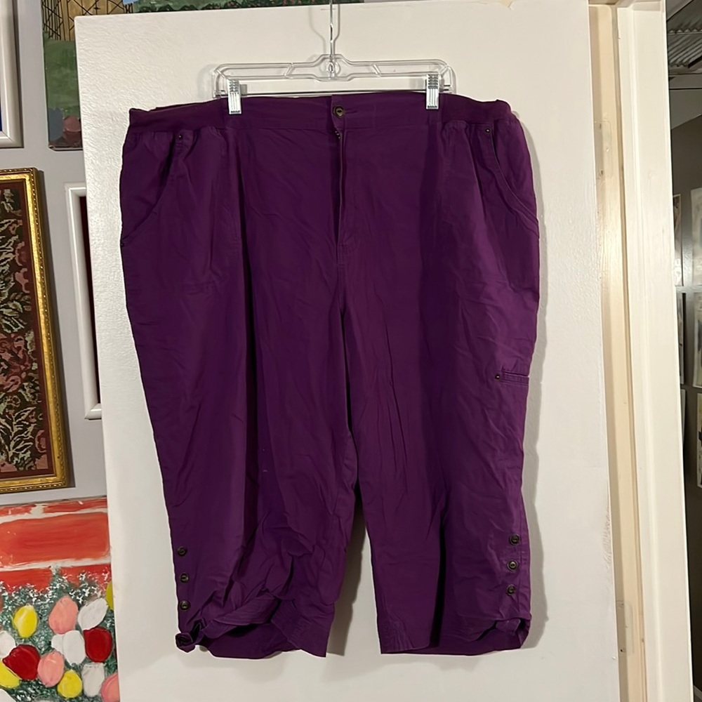 Liz & Me for Catherine purple convertible capri pants.